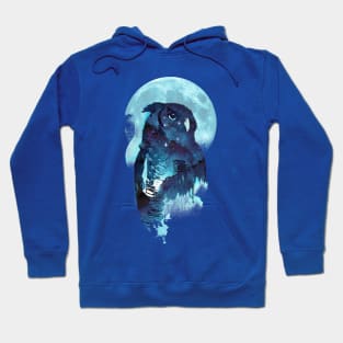 Midnight Owl Hoodie